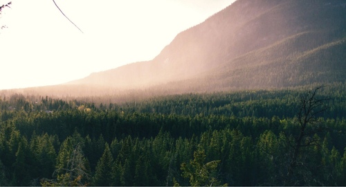 Craig Austin Peterson